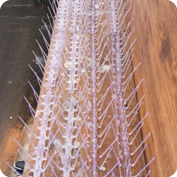 Invisible safety net installation for apartment balcony in Vizag