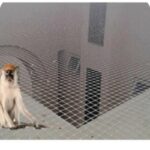 Monkey safety net service for residential buildings in Vizag