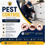 Pest management services in Rajajinagar Bangalore