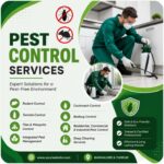 Professional termite control in Bangalore