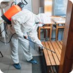 Residential Pest Control Solutions for All Common Pests