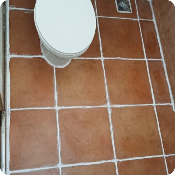 Toilet Commode Leakage Repair and Waterproofing