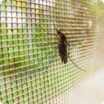 High-quality mosquito mesh installation for windows and balconies in Bangalore