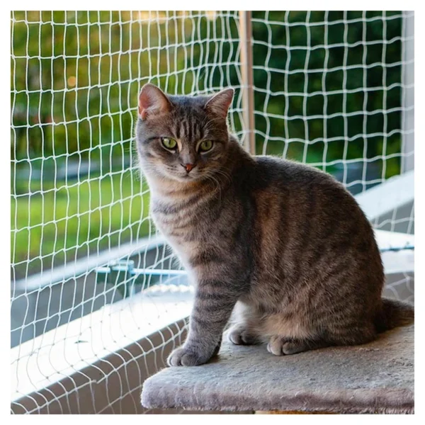 Safety Net Installation for Children and Pets in Bangalore