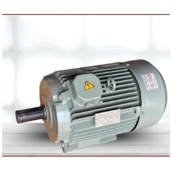 Industrial three phase electric motor with TEFC enclosure
