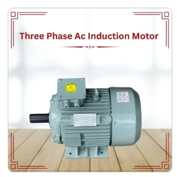 Pavitra Industries three phase squirrel cage induction motor