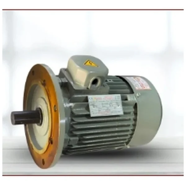 Three phase electric motor for pumps conveyors and machinery