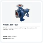 Process Pumps mineralx-model-100-125