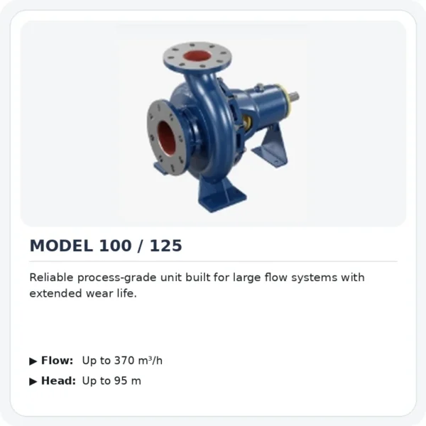 Process Pumps mineralx-model-100-125