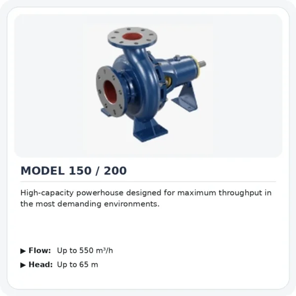 Process Pumps mineralx-model-150-200