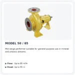 Process Pumps mineralx-model-50-65