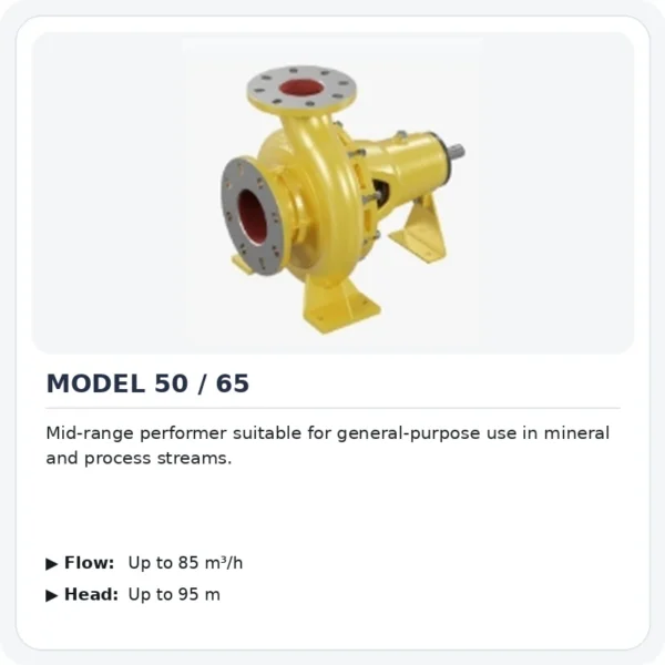 Process Pumps mineralx-model-50-65